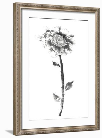 Ink Rose-Nan Rae-Framed Art Print