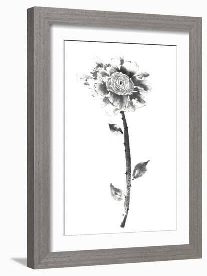 Ink Rose-Nan Rae-Framed Art Print