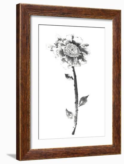 Ink Rose-Nan Rae-Framed Art Print