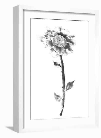 Ink Rose-Nan Rae-Framed Art Print