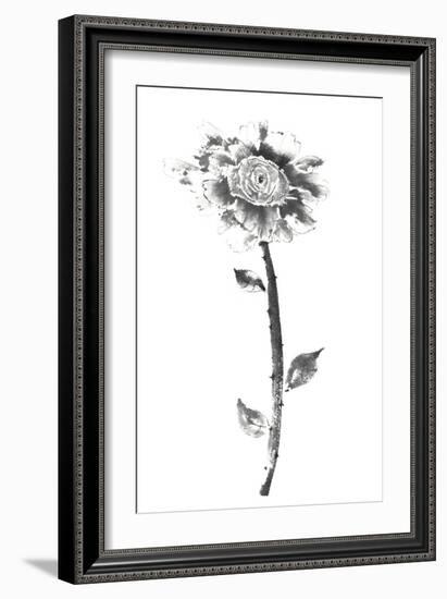 Ink Rose-Nan Rae-Framed Art Print