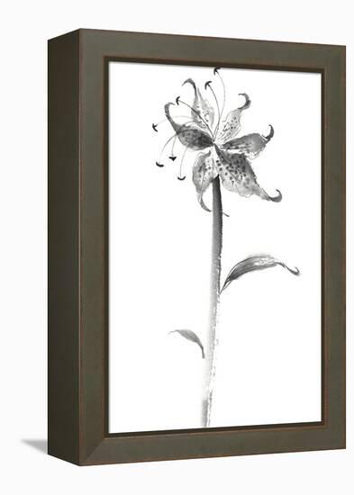 Ink Tiger Lily-Nan Rae-Framed Stretched Canvas