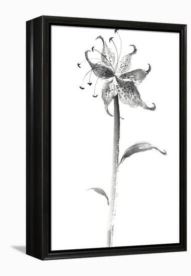 Ink Tiger Lily-Nan Rae-Framed Stretched Canvas