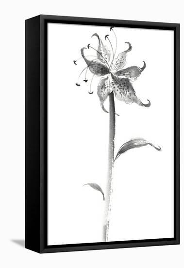 Ink Tiger Lily-Nan Rae-Framed Stretched Canvas