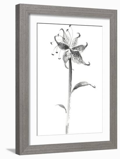 Ink Tiger Lily-Nan Rae-Framed Art Print