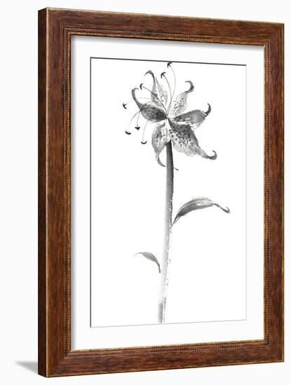 Ink Tiger Lily-Nan Rae-Framed Art Print