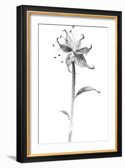 Ink Tiger Lily-Nan Rae-Framed Art Print