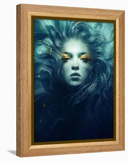 Ink-Anna Dittman-Framed Stretched Canvas