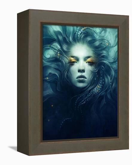 Ink-Anna Dittman-Framed Stretched Canvas