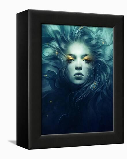 Ink-Anna Dittman-Framed Stretched Canvas