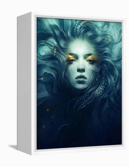 Ink-Anna Dittman-Framed Stretched Canvas