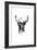 Inked Deer-James Grey-Framed Premium Giclee Print