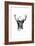 Inked Deer-James Grey-Framed Art Print