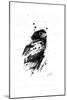 Inked Eagle-James Grey-Mounted Art Print