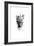 Inked Leopard-James Grey-Framed Premium Giclee Print