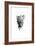 Inked Leopard-James Grey-Framed Art Print