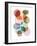 Inked Orbs III-Nikki Galapon-Framed Premium Giclee Print