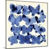 INKY BUTTERFLIES-Jenny Frean-Mounted Giclee Print