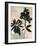 Inky Floral II-Asia Jensen-Framed Art Print