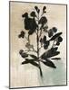 Inky Floral III-Asia Jensen-Mounted Art Print