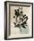 Inky Floral III-Asia Jensen-Framed Art Print