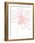 Inky Flower III-Linda Woods-Framed Art Print