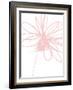 Inky Flower III-Linda Woods-Framed Art Print