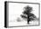 Inky Trees-Lars Van de Goor-Framed Stretched Canvas