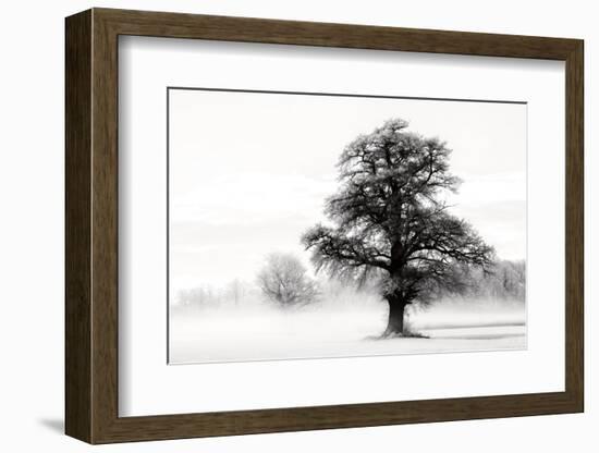 Inky Trees-Lars Van de Goor-Framed Photo