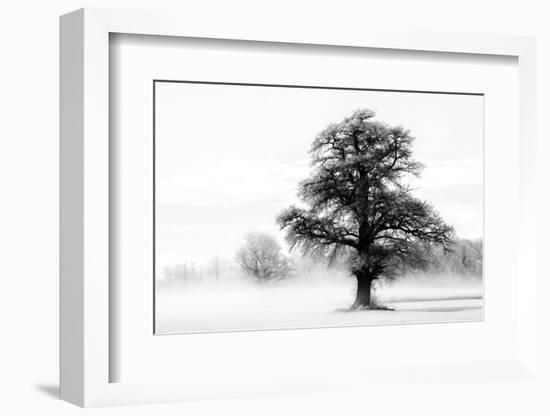 Inky Trees-Lars Van de Goor-Framed Photo