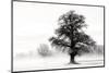 Inky Trees-Lars Van de Goor-Mounted Photo