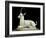 Inlaid Alabaster Unguent Jar in the Form of an Ibex, with One Natural Horn, Egypt, North Africa-Robert Harding-Framed Photographic Print