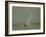 Inland Yachting, Midwest-Charles E^ Steinheimer-Framed Photographic Print