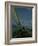 Inland Yachting, Midwest-Charles E^ Steinheimer-Framed Photographic Print