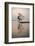 Inle Lake Fisherman at Sunrise (Intha Fisherman), Near Nyaungshwe, Shan State, Myanmar (Burma)-Matthew Williams-Ellis-Framed Photographic Print