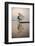 Inle Lake Fisherman at Sunrise (Intha Fisherman), Near Nyaungshwe, Shan State, Myanmar (Burma)-Matthew Williams-Ellis-Framed Photographic Print