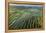 Inle Lake, Shan State, Myanmar (Burma), Asia-Janette Hill-Framed Premier Image Canvas