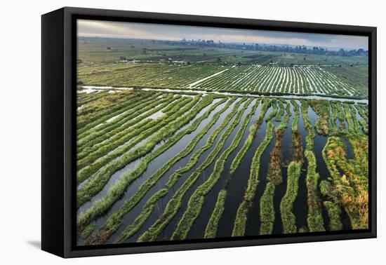 Inle Lake, Shan State, Myanmar (Burma), Asia-Janette Hill-Framed Premier Image Canvas