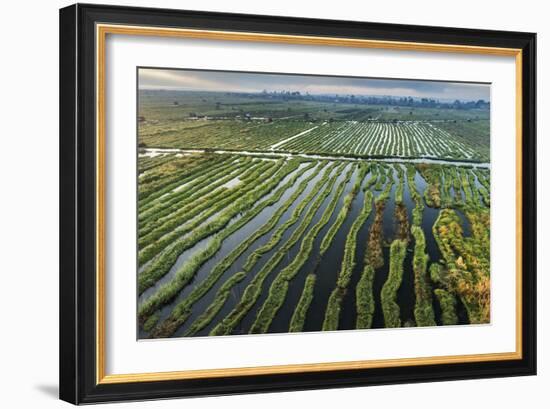 Inle Lake, Shan State, Myanmar (Burma), Asia-Janette Hill-Framed Photographic Print