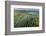 Inle Lake, Shan State, Myanmar (Burma), Asia-Janette Hill-Framed Photographic Print