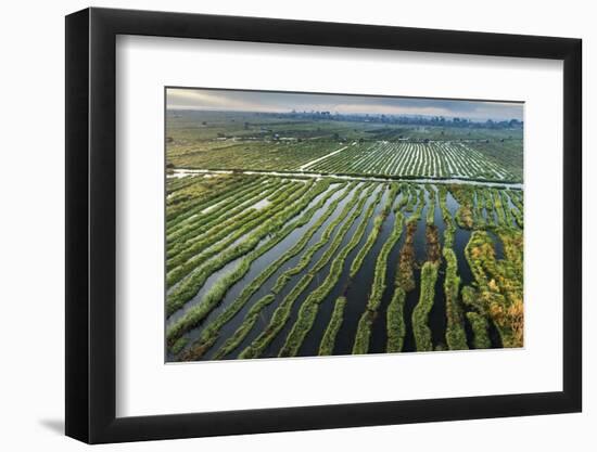 Inle Lake, Shan State, Myanmar (Burma), Asia-Janette Hill-Framed Photographic Print