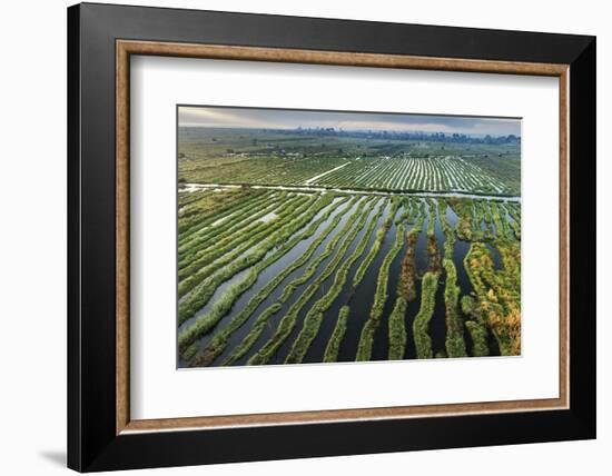 Inle Lake, Shan State, Myanmar (Burma), Asia-Janette Hill-Framed Photographic Print