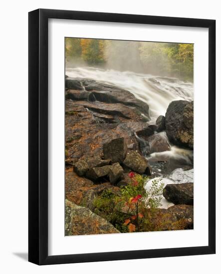 Inlet Mist over Rushing Stream, New York, Usa-Jay O'brien-Framed Photographic Print
