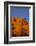 Inn at the Loretto, Santa Fe, New Mexico. USA-Julien McRoberts-Framed Photographic Print