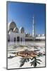 Inner courtyard of Sheikh Zayed Mosque, Abu Dhabi, United Arab Emirates-Stefano Politi Markovina-Mounted Photographic Print