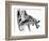 Inner Ear-Mehau Kulyk-Framed Photographic Print