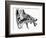 Inner Ear-Mehau Kulyk-Framed Photographic Print