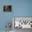Inner Life-Petr Strnad-Framed Premier Image Canvas displayed on a wall