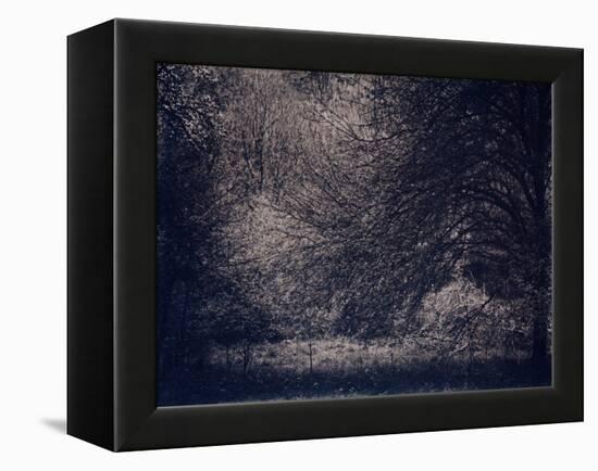 Inner Life-Petr Strnad-Framed Premier Image Canvas