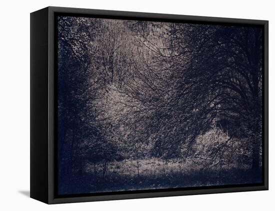 Inner Life-Petr Strnad-Framed Premier Image Canvas